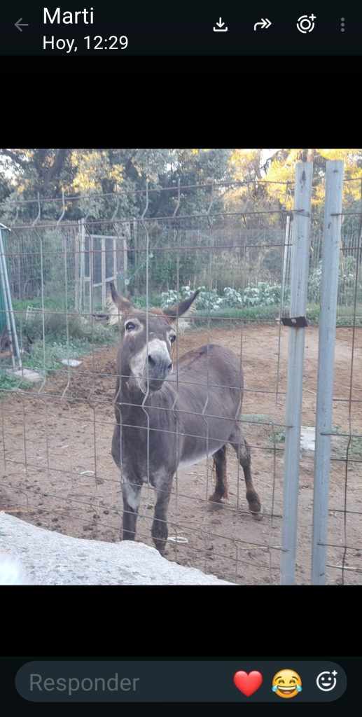 Caminata, miércoles 23 de septiembre: la ruta del Buro — foto 4 de 5