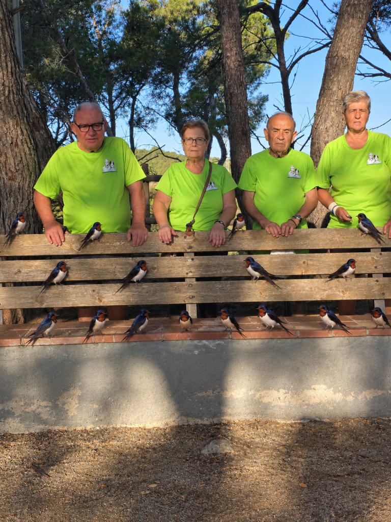Hoy lunes, el paseo en compañía de las golondrinas, que dicen adiós hasta la próxima primavera — foto 2 de 3