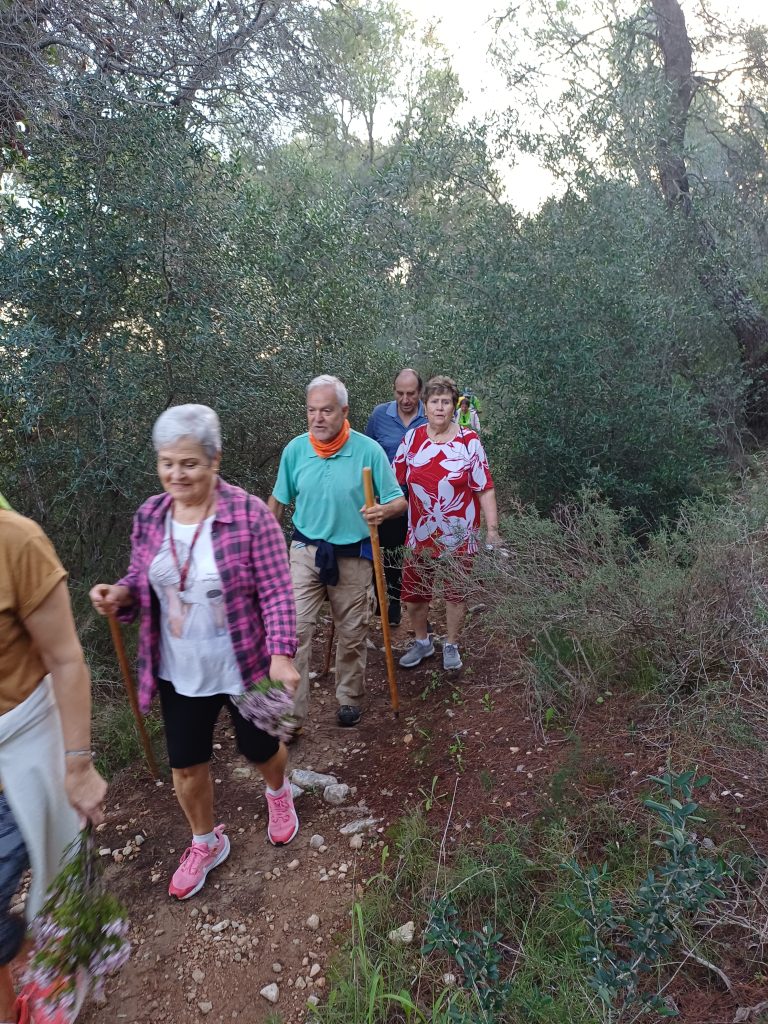 Caminata, miércoles 14 de octubre de 2026 — foto 3 de 3