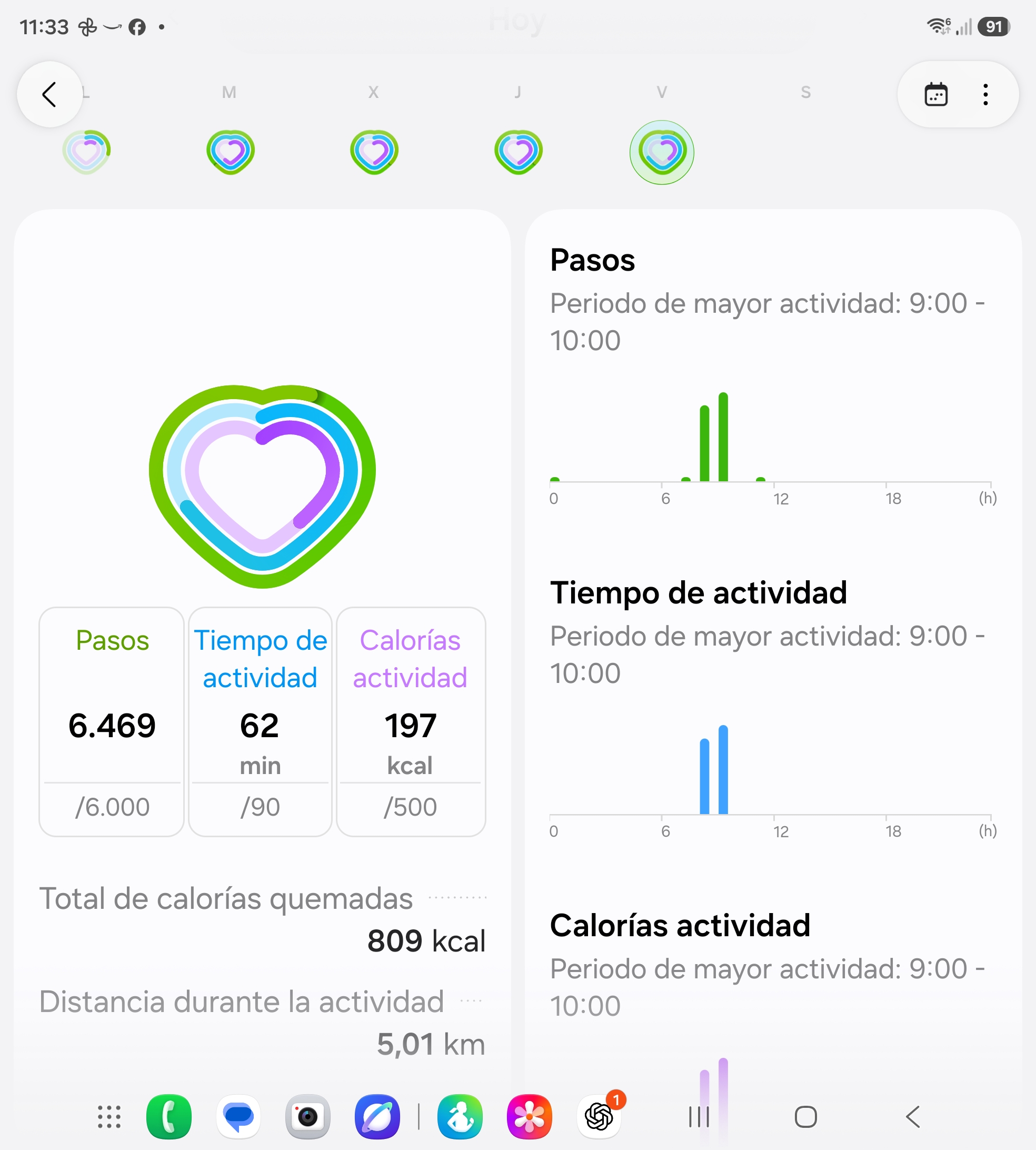 El paseo de hoy viernes al campo de pitaya — foto 1 de 3